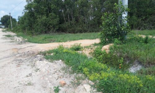 Bán lô đất giá rẻ đầu tư đường số 1 xã tân bình thị xã lagi bình thuận