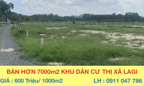 Bán Lô Đất Nhà Vườn Tại Khu Dân Cư Đông Đúc Thị Xã Lagi, Bình Thuận