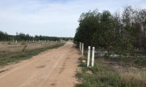Bán Lô Đất Khu Dự Án Rừng Vàng Biển Hùng Vương – Cơ Hội Đầu Tư Độc Đáo tại Thị Xã Lagi, Bình Thuận