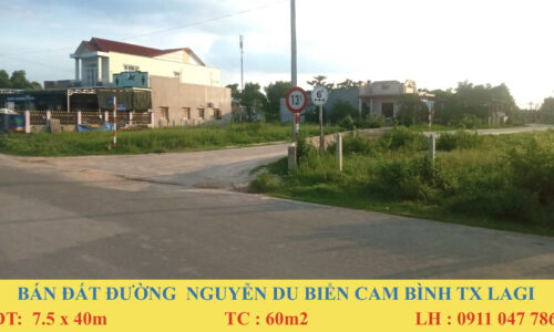 Bán Lô Đất Mặt Tiền Đường Nguyễn Du – Đầu Tư Tuyệt Vời tại Bình Thuận