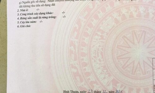 Đất đường lớn Tân Phước, Lagi, Bình Thuận: Cơ hội đầu tư và xây nhà lý tưởng