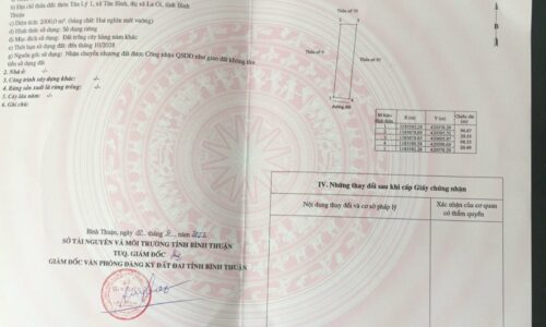 Cơ Hội Đầu Tư Đất 2000m2 Vị Trí Đắc Địa Tại Tân Bình, Lagi – Bình Thuận