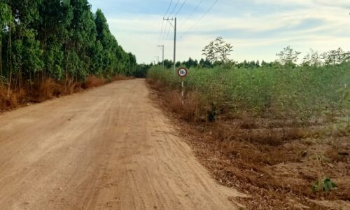 Cơ Hội Đầu Tư Đất Mẫu Tại Tân Bình, Lagi, Bình Thuận