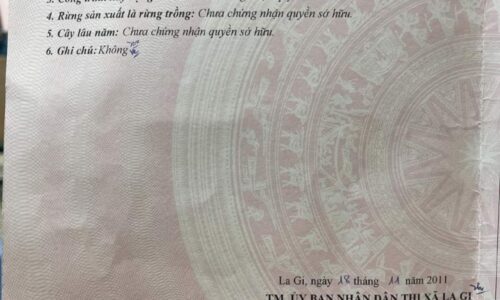 Cơ Hội Đầu Tư Hấp Dẫn – Bán Nhà Mặt Tiền Đường Nguyễn Thái Học, Tân An, Lagi, Bình Thuận