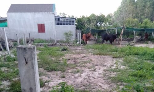 Bán Lô Đất Hẻm Bê Tông 3m Tại Phường Tân An, Thị Xã Lagi, Bình Thuận