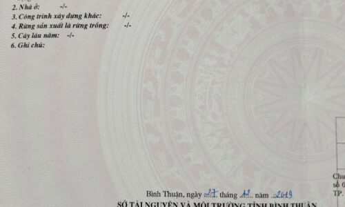 Cơ Hội Đầu Tư Đất Hai Mặt Tiền Hẻm Nguyễn Tri Phương, Tân Bình, Lagi, Bình Thuận