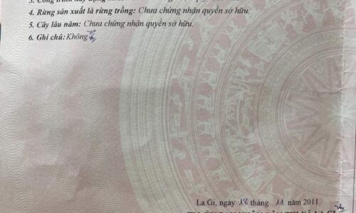 Cơ Hội Sở Hữu Ngôi Nhà Mặt Tiền Tại Tân An, Lagi – Bình Thuận
