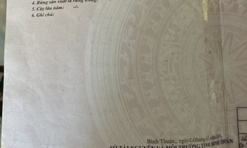 Cơ Hội Đầu Tư Hấp Dẫn tại Bãi Biển Đồi Dương, Lagi – Bình Thuận