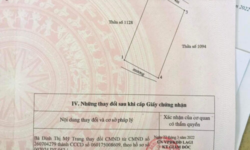 Cơ Hội Đầu Tư Đất Đẹp Tại Đường Nhánh Lê Văn Duyệt, Tân Phước, Lagi