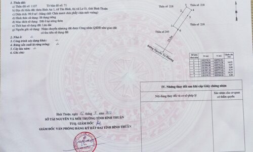Cơ Hội Sở Hữu Căn Nhà Mặt Tiền Độc Đáo tại Khu Vực Nguyễn Tri Phương, Tân Bình, Lagi