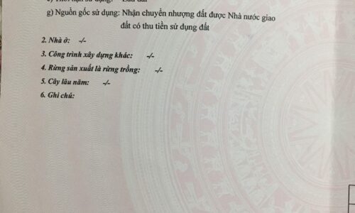 Cơ Hội Sở Hữu Lô Đất Đẹp tại Khu Dân Cư Dâu Tằm, Tân Phước, Lagi, Bình Thuận