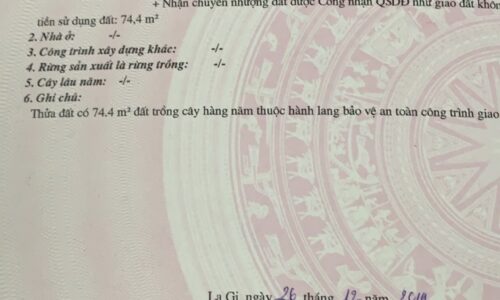 Chào Mừng Quý Khách Đến Với Cơ Hội Độc Đáo Tại Lô Đất Mặt Tiền Nguyễn Thông, Tân Bình, Lagi – Bình Thuận