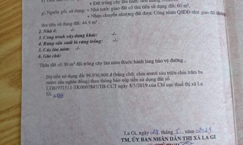 Chào mừng bạn đến với Cơ Hội Đáng Chú Ý trên Đường Nguyễn Trị Phương, Lagi, Bình Thuận!
