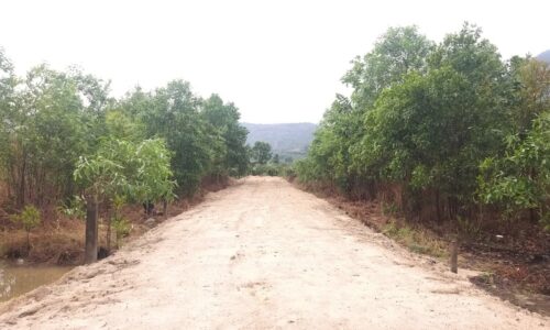 CƠ HỘI ĐẦU TƯ ĐẤT VÀNG TẠI TT.TÂN NGHĨA – HÀM TÂN – BÌNH THUẬN