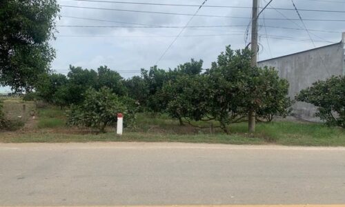 Đất Mặt Tiền Quốc Lộ 55b – Độ Rộng 21.5m x 152m – TC 200