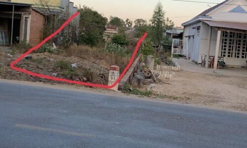 CƠ HỘI SỞ HỮU LÔ ĐẤT MẶT TIỀN ĐƯỜNG QUỐC LỘ 55 TẠI TÂN XUÂN